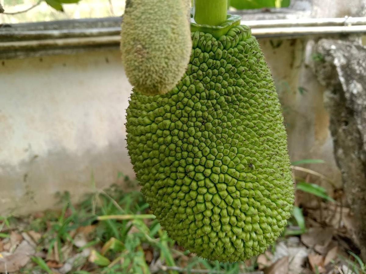 Ban Chang Klang Na Nong ap Chang Экстерьер фото